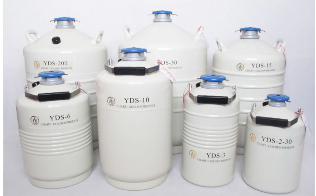 金凤液氮罐手提式YDS-10便携式液氮罐
